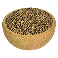 KOLENDRA ZIARNA 500g